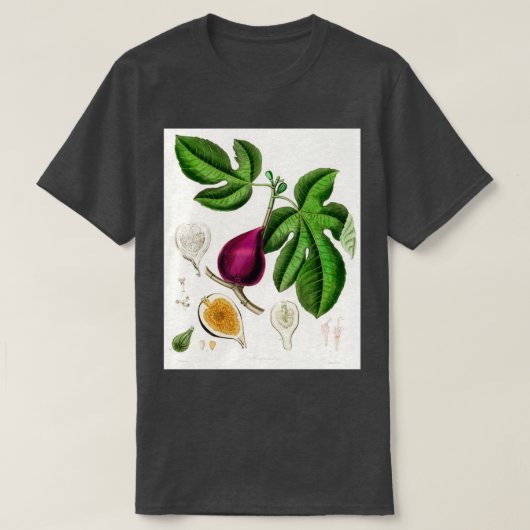 Fig Ficus carica illustratie uit Medical Botany T-shirt (Design voorkant)