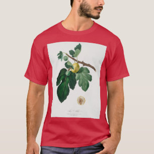 Fig Ficus carica uit Pomona Italiana 1817 1839 T-shirt