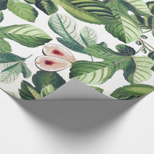 Fig Garden Cadeaupapier (Hoek)