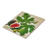  fig illustratie tegeltje (Zijkant)