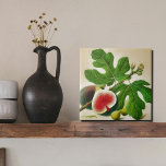 fig illustratie tegeltje<br><div class="desc">Introductie van onze vijgenillustratie, met rijpe, weelderige vruchten versierd met levendige groene bladeren. Dit prachtige kunstwerk legt de essentie van de Middellandse Zee vast en geeft een warm en uitnodigend gevoel aan elke ruimte. De afbeelding is zorgvuldig afgedrukt op een hoogwaardige keramische tegel, waardoor het een ideaal decoratief stuk is...</div>