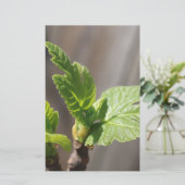 Fig Leaf Briefpapier (Staand voorkant)