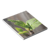 Fig Leaf Notitieblok (Schuin)
