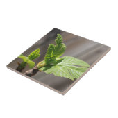 Fig Leaf Tegeltje (Zijkant)