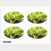 Fig Leaves Ovale Sticker (Vel)
