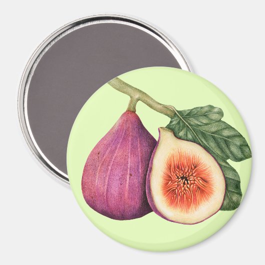 Fig Magneet (Voorkant / Achterkant)