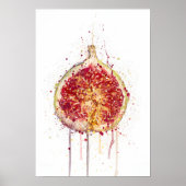 Fig Poster (Voorkant)