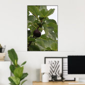 Fig Poster (Thuiskantoor)