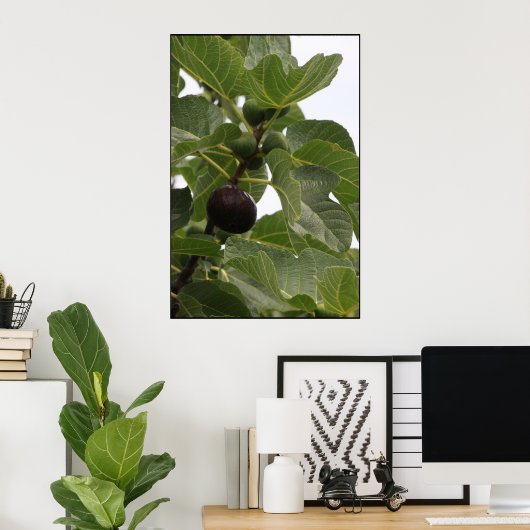 Fig Poster (Thuiskantoor)