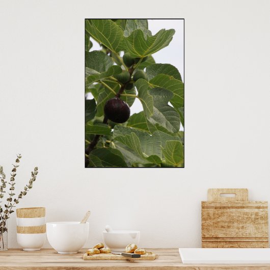 Fig Poster (Keuken)