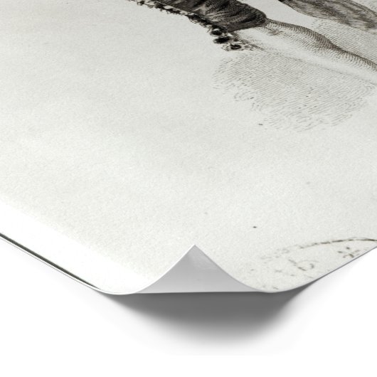 Figaro Poster (Hoek)