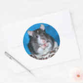 Figaro Rattie 3" Sticker (Envelop)