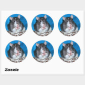 Figaro Rattie 3" Sticker (Vel)