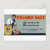 Figaro Salt Ad Washington,IA Briefkaart (Voorkant)