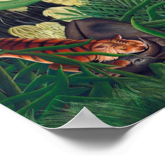 Fight Between A Tiger And A Buffalo Henri Rousseau Poster (Hoek)
