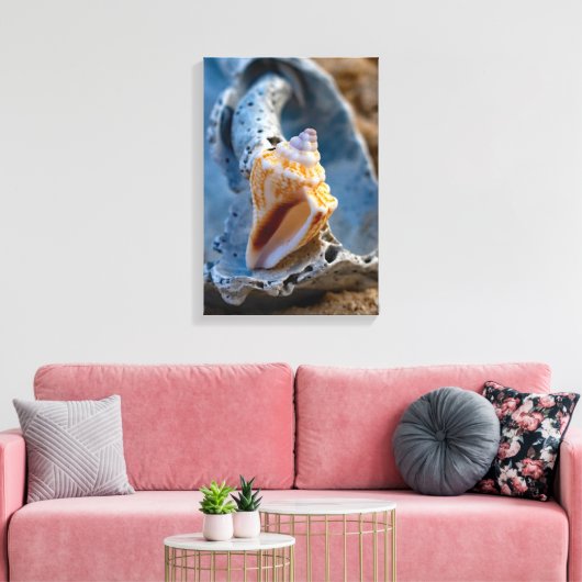 Fighting Conch op een gebroken schoonheid Canvas Afdruk (Insitu (Woonkamer))