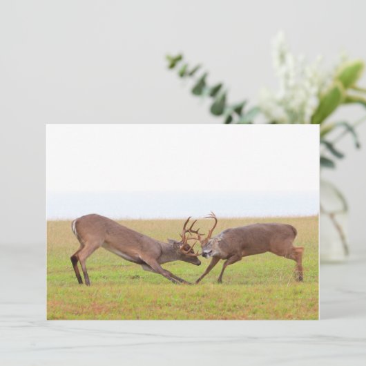 Fighting Deer Invitation Kaart (Staand voorkant)