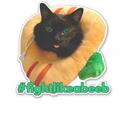 #fightlikeabeeb Sticker (Voorkant)