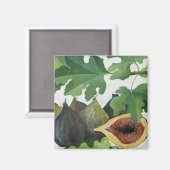 Figs 2013 magneet (Voorkant / Achterkant)