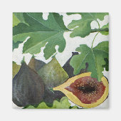 Figs 2013 magneet (Voorkant)