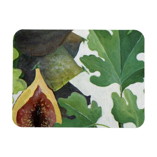 Figs 2013 magneet (Horizontaal)