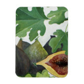 Figs 2013 magneet (Verticaal)