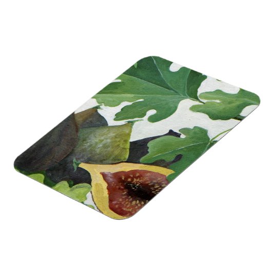 Figs 2013 magneet (Linkerzijde)