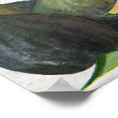 Figs 2013 poster (Hoek)