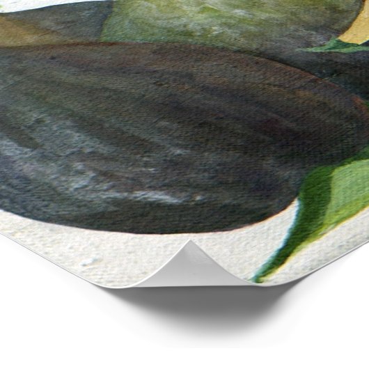 Figs 2013 poster (Hoek)