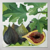 Figs 2013 poster (Voorkant)