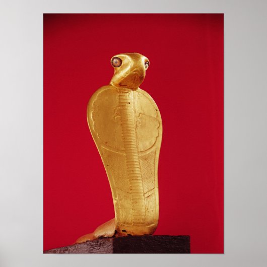 Figure of the cobra Netjer-Ankh Poster (Voorkant)