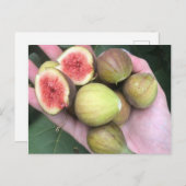 figuren briefkaart (Voorkant / Achterkant)