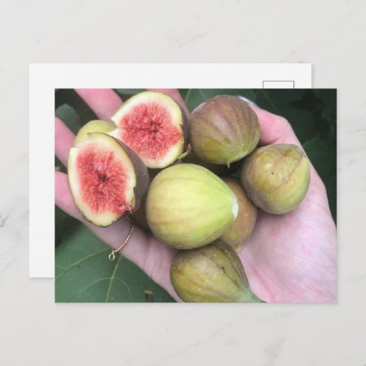 figuren briefkaart (Voorkant / Achterkant)