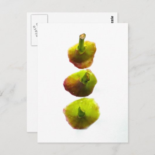 figuren briefkaart (Voorkant / Achterkant)