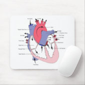 Figuur 2. Normale hartfunctie.jpg Muismat (Met muis)