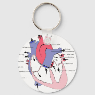 Figuur 2. Normale hartfunctie.jpg Sleutelhanger