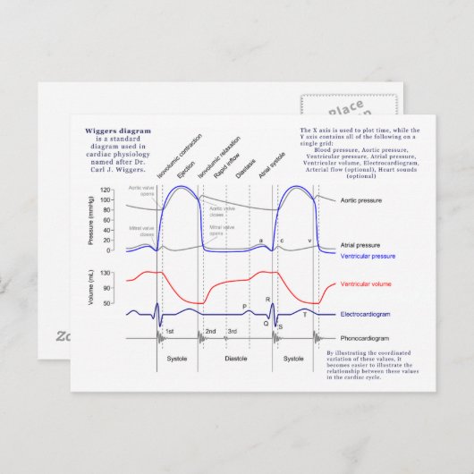 Figuur Briefkaart (Voorkant / Achterkant)