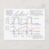 Figuur Briefkaart (Voorkant)