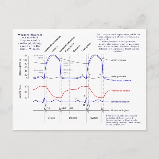 Figuur Briefkaart (Voorkant)