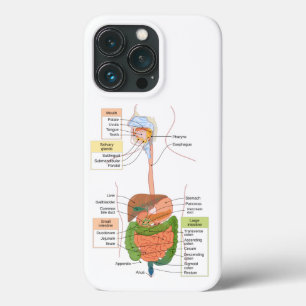 Figuur Humaan Maagdarmstelsel Case-Mate iPhone Case