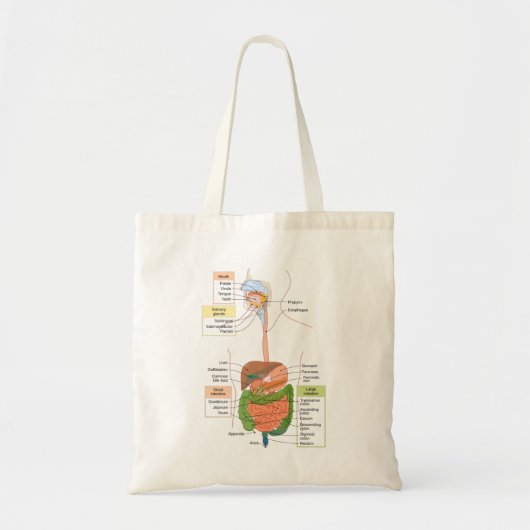 Figuur Humaan Maagdarmstelsel Tote Bag (Voorkant)
