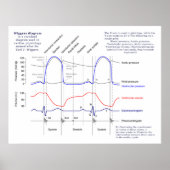 Figuur Poster (Voorkant)