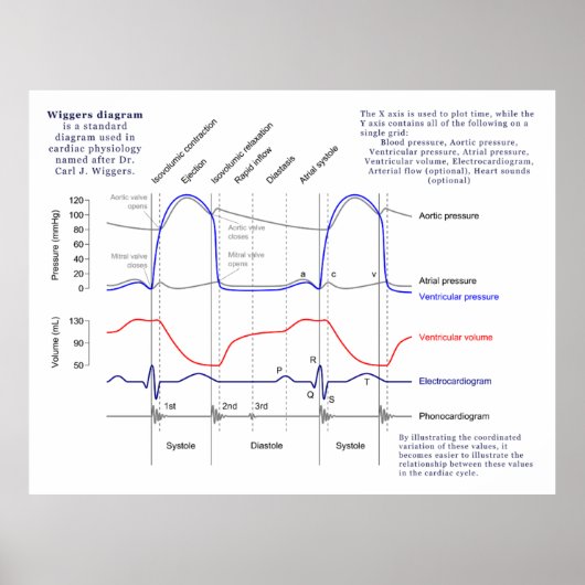 Figuur Poster (Voorkant)