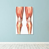 Figuur ter illustratie van de spiergroepen aan de  canvas afdruk (Insitu (Houten vloer))