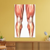 Figuur ter illustratie van de spiergroepen aan de  canvas afdruk (Insitu (Woonkamer))