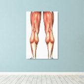 Figuur ter illustratie van de spiergroepen van de  canvas afdruk (Insitu (Houten vloer))