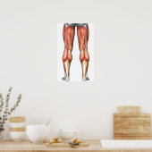 Figuur ter illustratie van de spiergroepen van de  poster (Keuken)