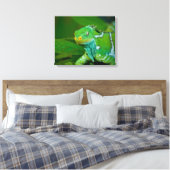 Fiji crested Iguana, Kula Eco Park, Viti Levu, Canvas Afdruk (Insitu (Slaapkamer))
