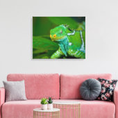 Fiji crested Iguana, Kula Eco Park, Viti Levu, Canvas Afdruk (Insitu (Woonkamer))