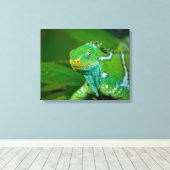 Fiji crested Iguana, Kula Eco Park, Viti Levu, Canvas Afdruk (Insitu (Houten vloer))